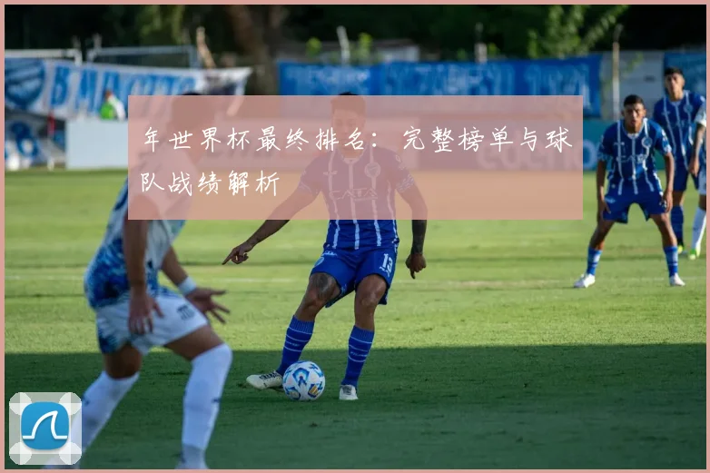 年世界杯最终排名：完整榜单与球队战绩解析