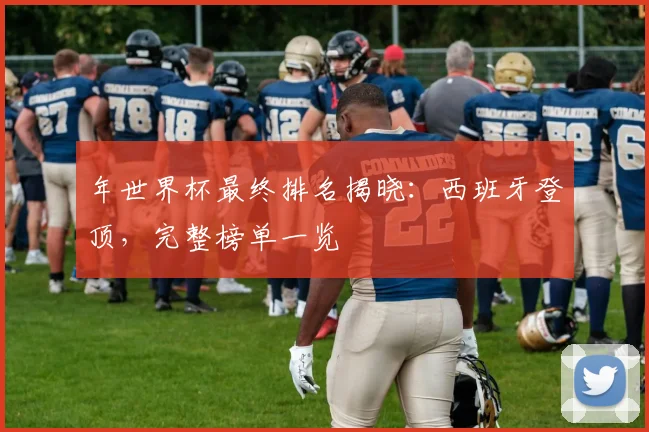 年世界杯最终排名揭晓：西班牙登顶，完整榜单一览