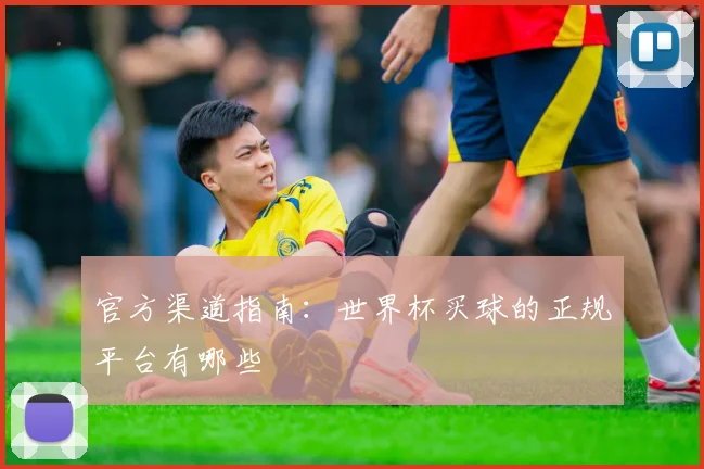 官方渠道指南：世界杯买球的正规平台有哪些