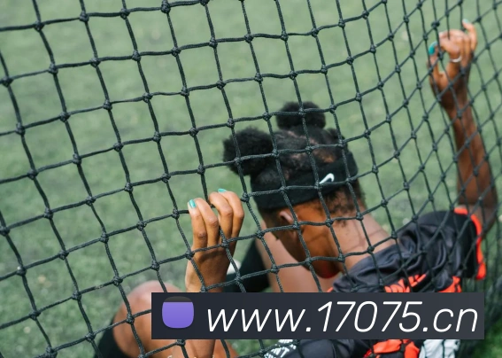 星空网页版登录界面服务体系